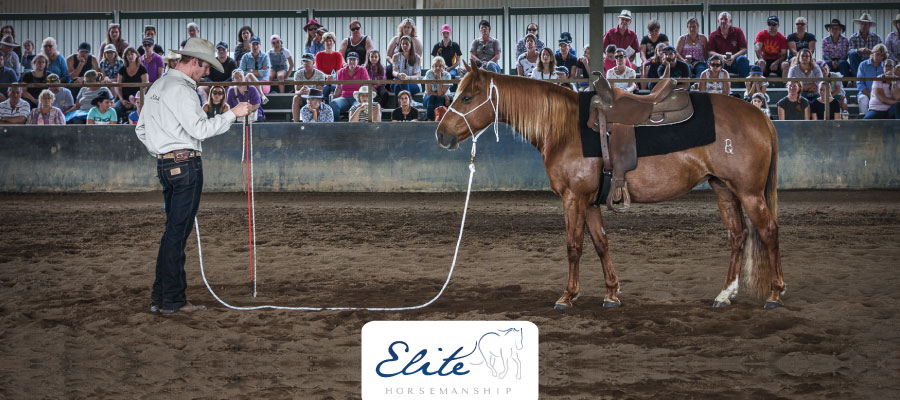 elite-horsemanship